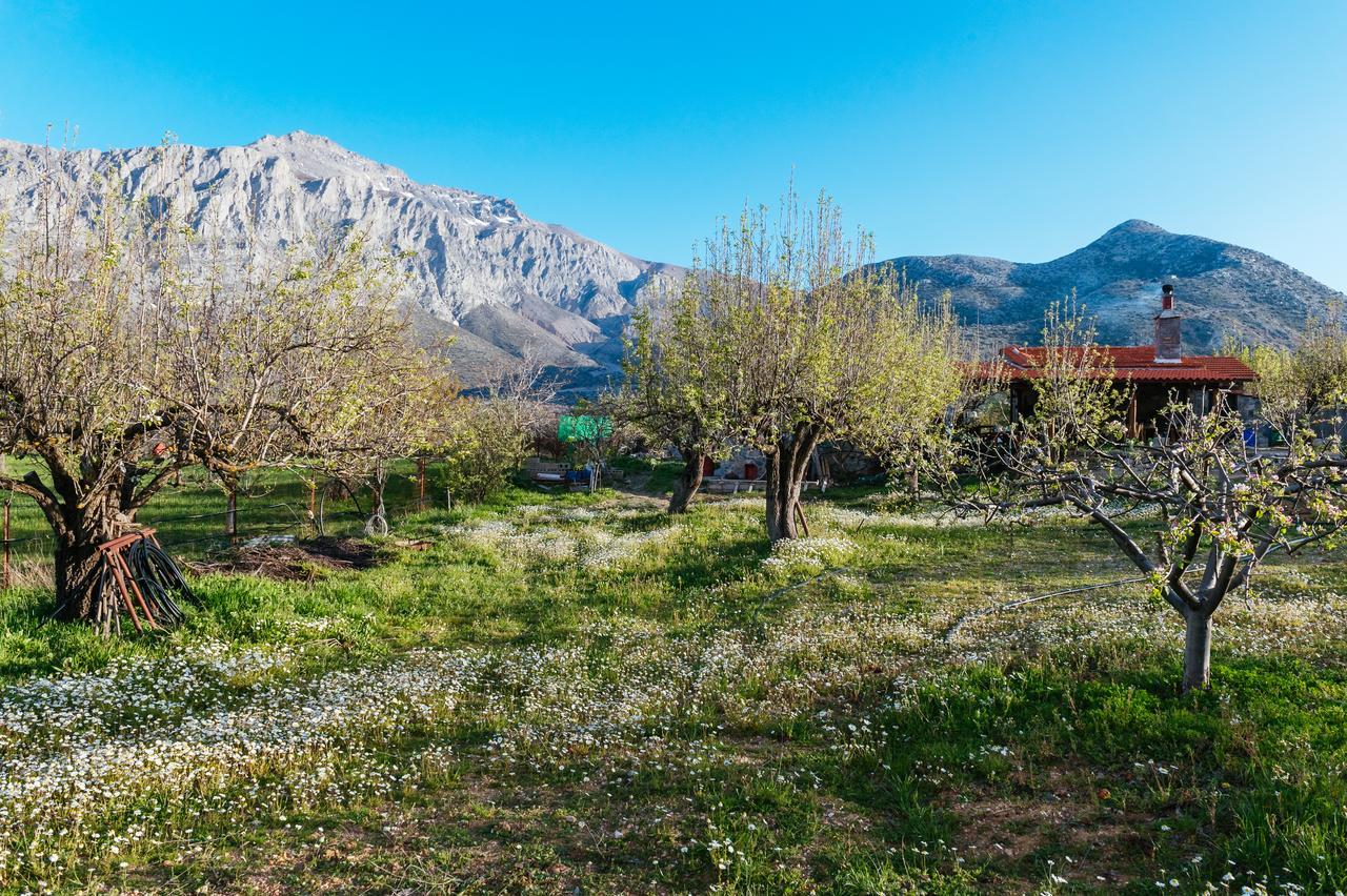 Vasilikata Apartmán